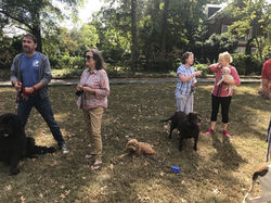 72401729_2434522543458223_3416862924549914624_n