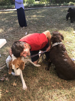 72844763_2434522186791592_2665497145309659136_n