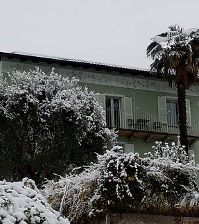 WhatsApp Image 2026-01-16 at 10.48.04.jpeg