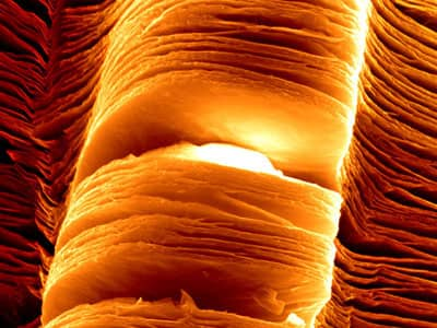 Novel MXene Synthesis Method Increases Electrical Conductivity by 160x