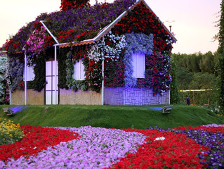 Growing Green Fingers At Dubai Emirates Garden