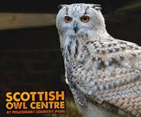 Scottish Owl Centre.jpg