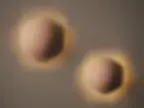 Thumbnail: Wall Light - Sol Hexa