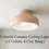 Thumbnail: Ceramic Ceiling Light - Morning Bell Color