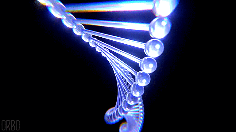 Who owns your DNA?