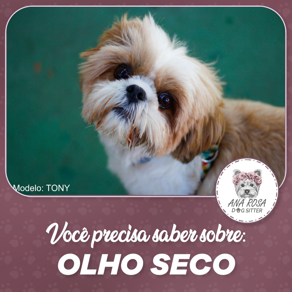 OLHO SECO