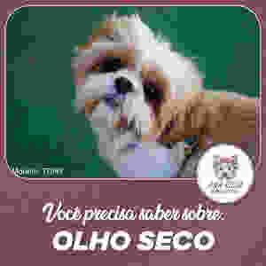 OLHO SECO