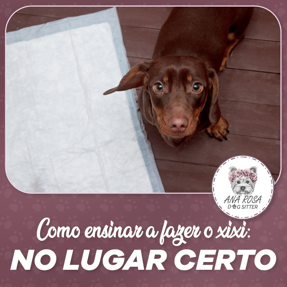 XIXI NO LUGAR CERTO