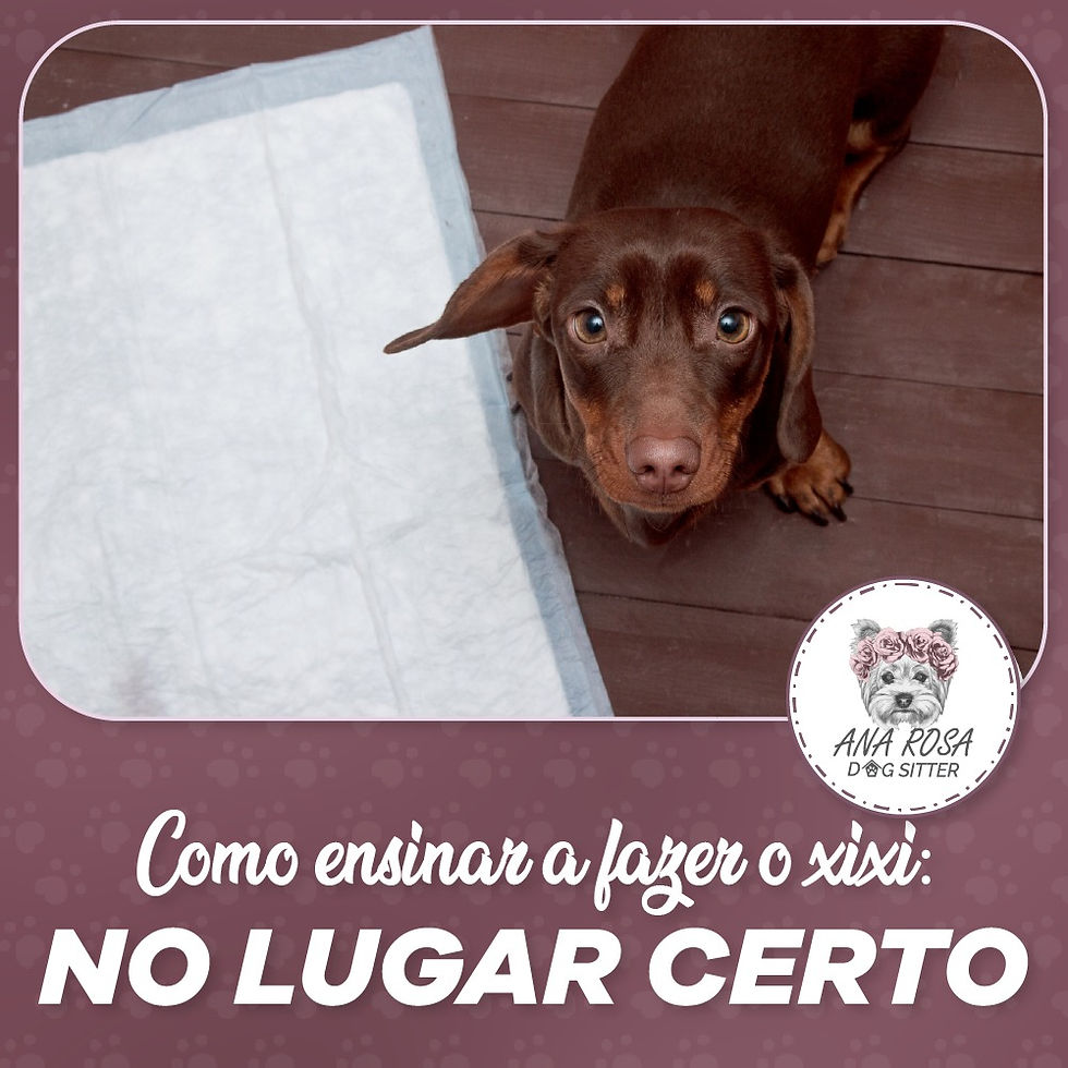 XIXI NO LUGAR CERTO