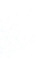Group 15.png