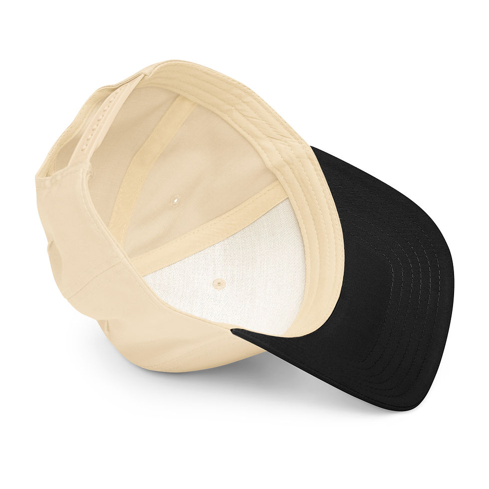 Thumbnail: 5 panel cap