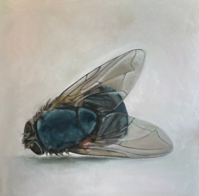 Dead fly painting