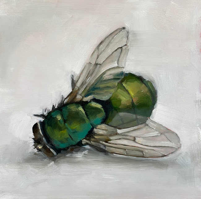 Dead fly painting