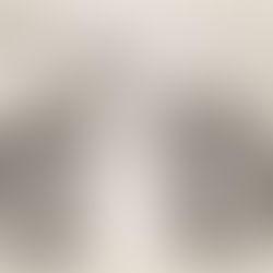 The Student Who Wasn't There