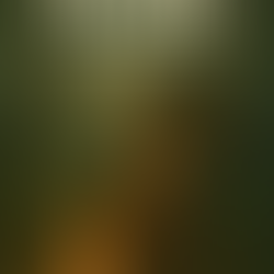 Een begeleide meditatie voor innerlijke wijsheid - de reis naar de wijze in het woud