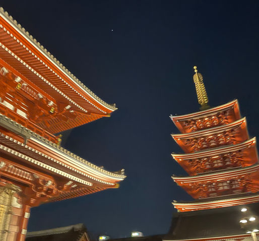 久違了,東京