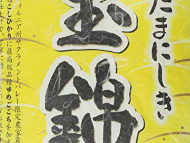 仕事をクビになった(2度目)