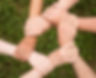 team-spirit-2447163_1920.jpg