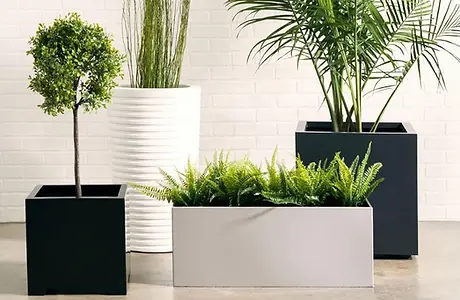 Modern Planters