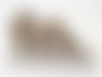 Navigating to Revolution Exhausts: A Guide from Norwich