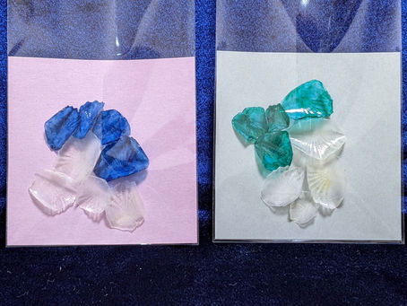 金運アイテム「Dios Lepi 」完売のお知らせ