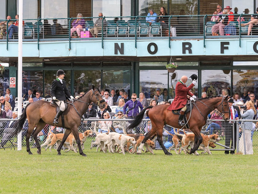 Hound Parade at South of England Show