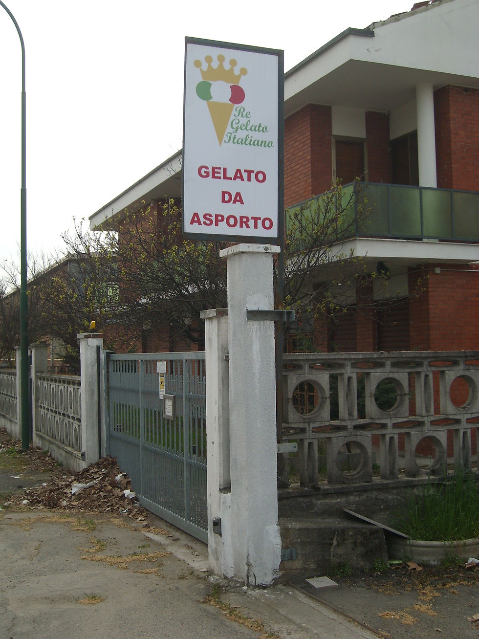 SL270567.JPG