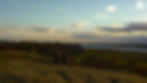 Native Prairie