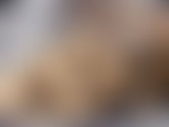 Lactation Boosting Bars