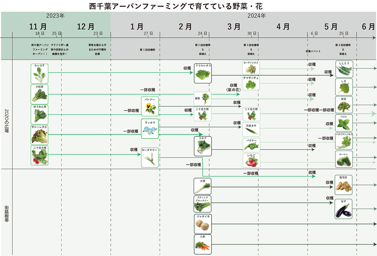 作物の変遷表_0531松浦.jpg