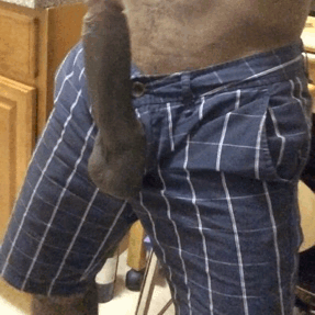 bdsmlr-10024881-K9tqxl0DOx.gif