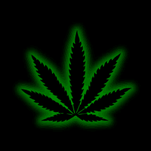 neon-sign-neon.gif