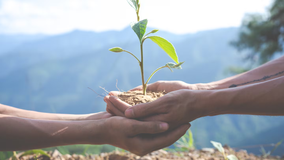 Sostenibilidad 2024: ¿Qué se hizo bien y qué hizo falta para tener un mundo más verde?