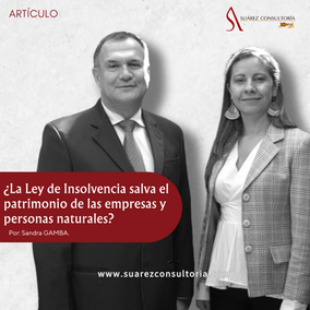 ¿La Ley de Insolvencia salva el patrimonio de las empresas y personas naturales?