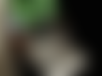 El 60% de las empresas latinoamericanas no sobreviven a un ciberataque en 2025, según estudio