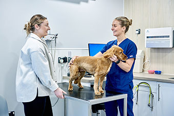 New ‘What Matters to You’ guide for clinicians