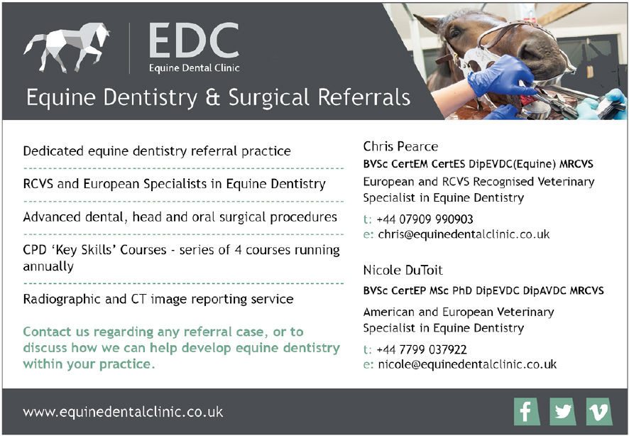 Equine Dental Clinic.jpg