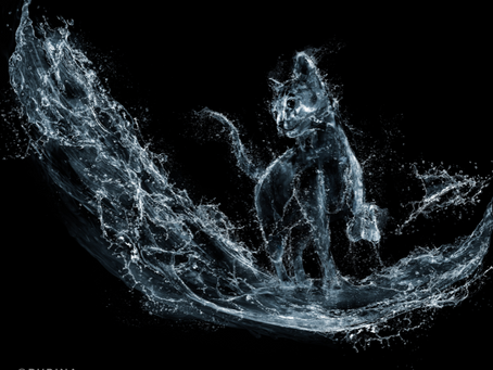 Purina Vet Centre offers new tool and resources on hydration