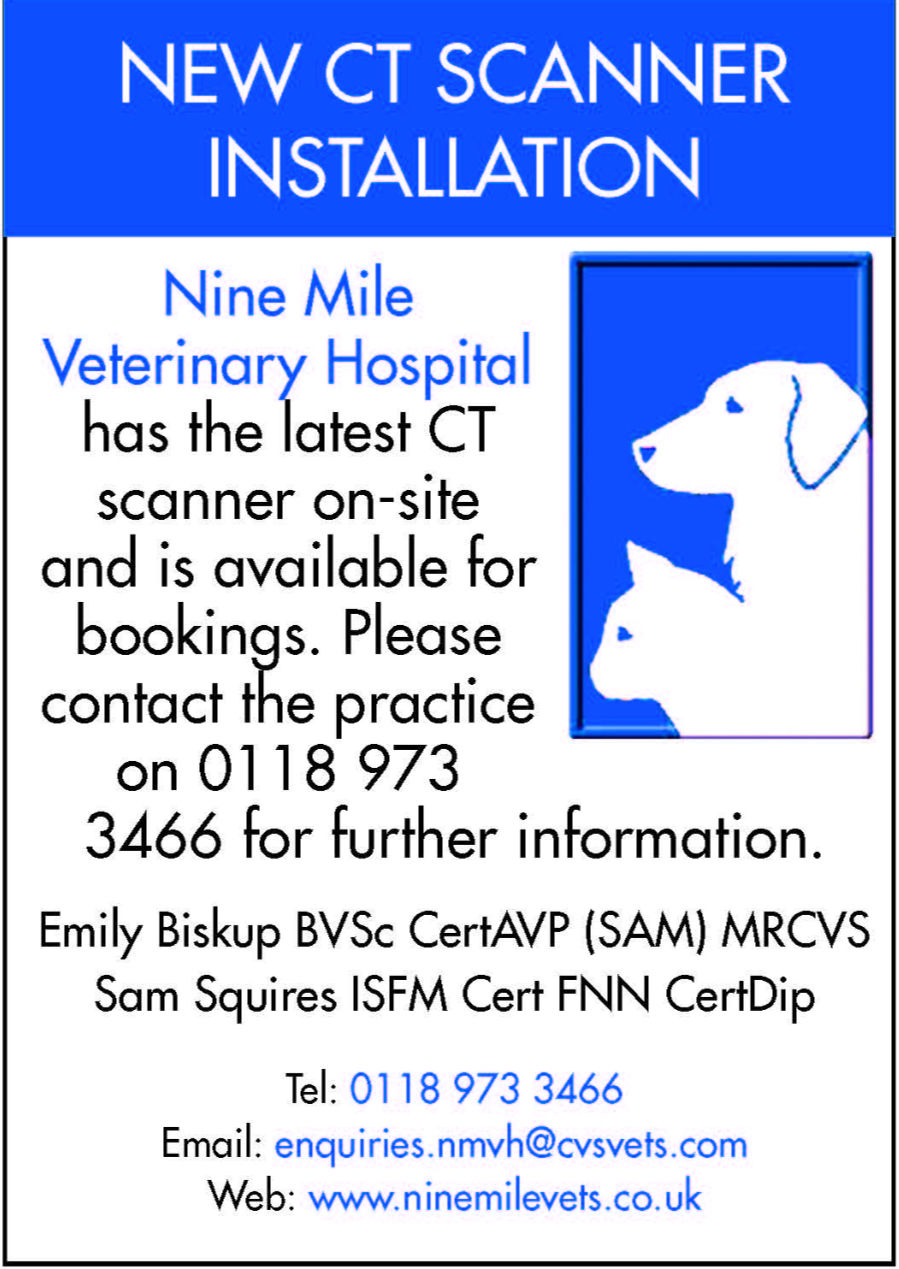 Nine Mile Vets_edited.jpg