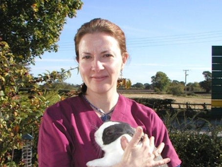 Veterinary experts share insights on guinea pig nutrition in free webinar