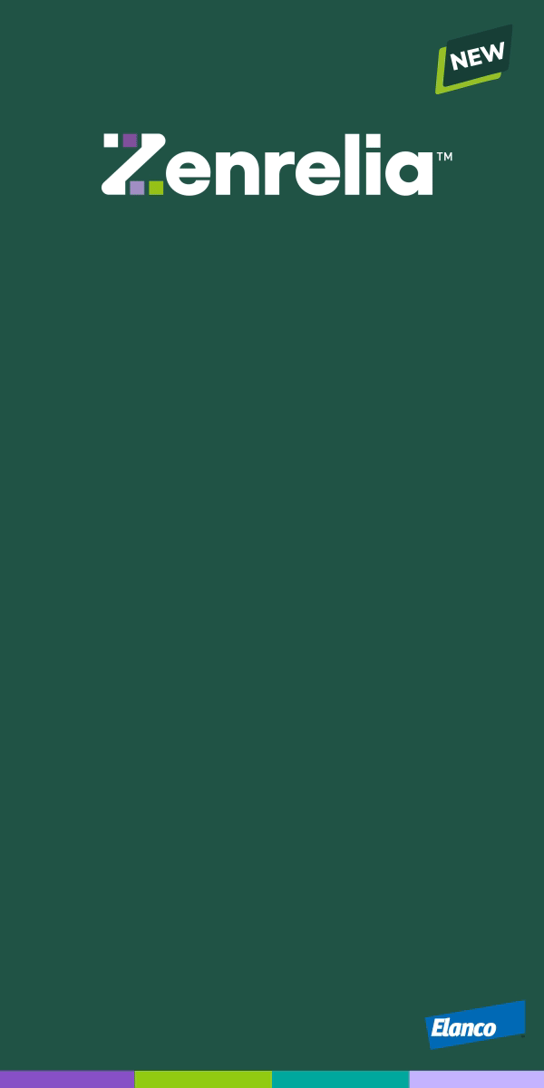 Zenrelia TOWER300pxx600px.gif