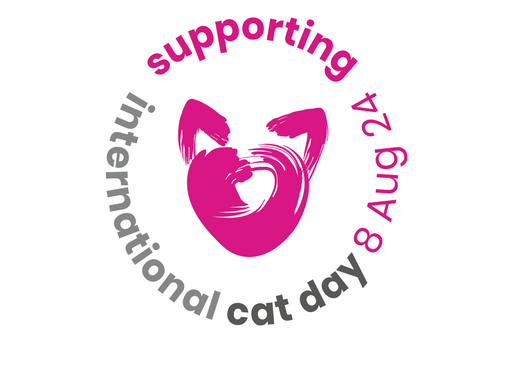 #CelebrateCats this International Cat Day