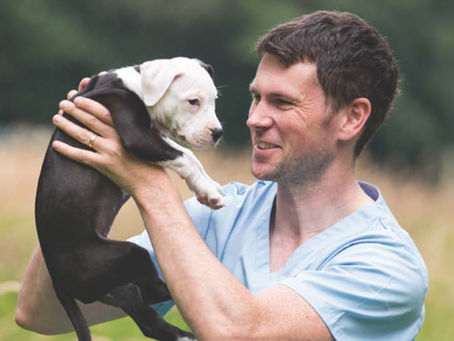 Ethical canine connections with MyPetBond