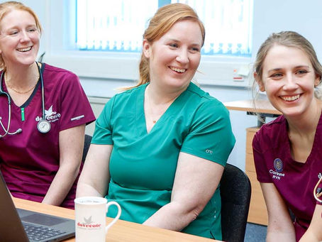 CVS introduces three new leadership roles in nursing
