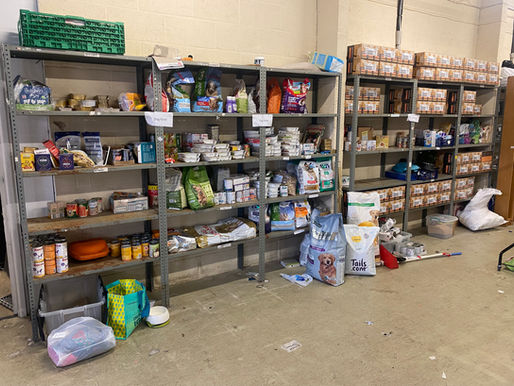 Blue Cross marks feeding over three million pets for a day with pet food banks