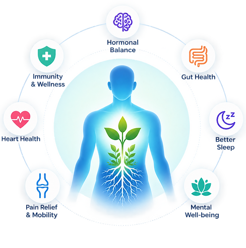 Feel Well Again. We Treat the Root Cause, Not Just Symptoms