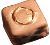 darkforest%20regular_edited.png