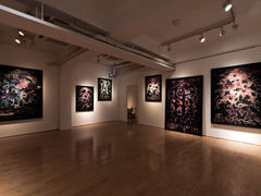 Scenery in Dim Light –Tokyo Wander Site Hongo, Tokyo 2012.