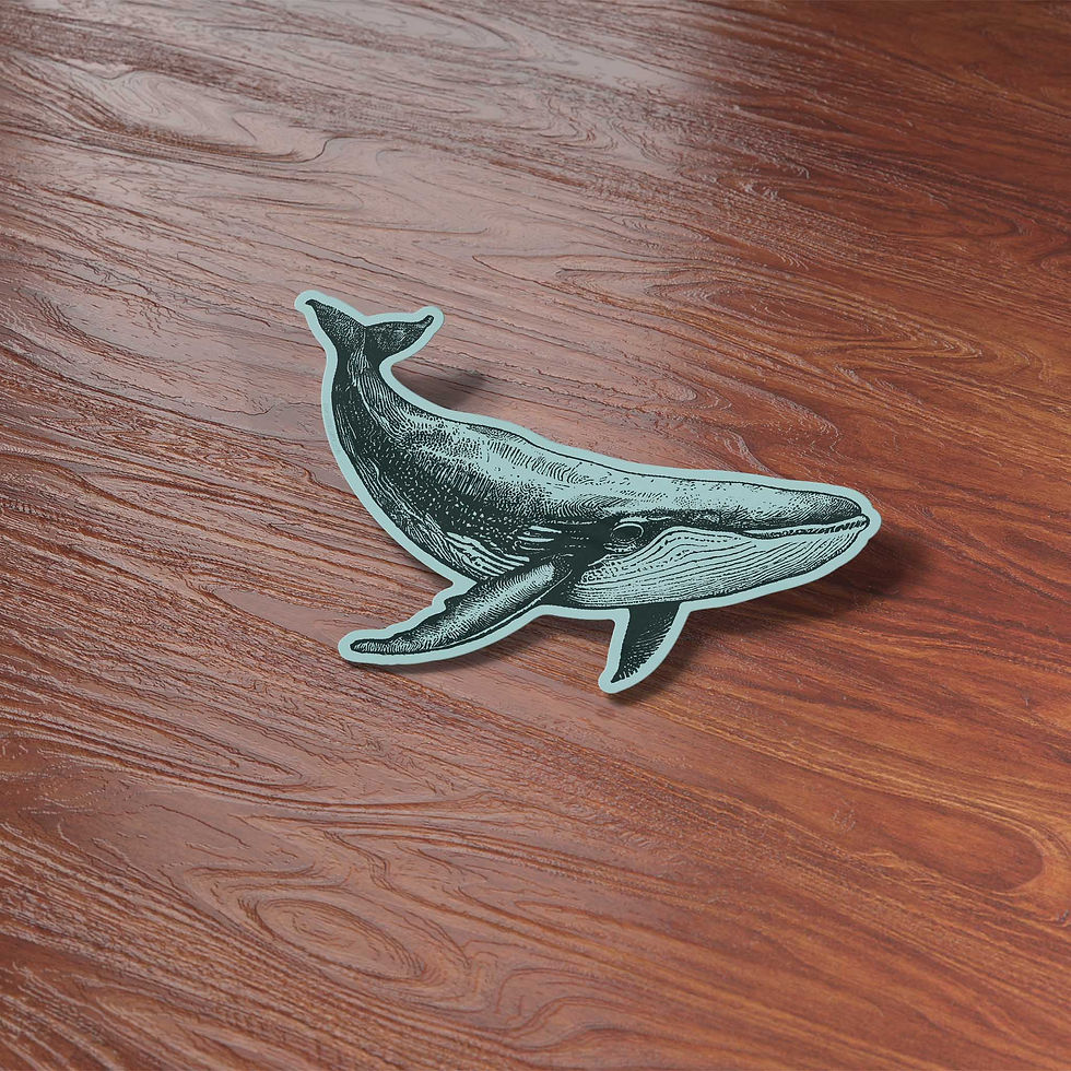 Thumbnail: Humpback Whale Sticker