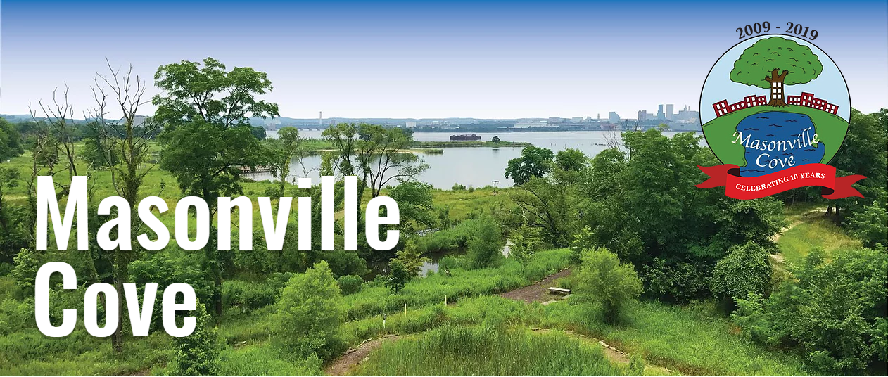 Masonville Cove Baltimore, MD